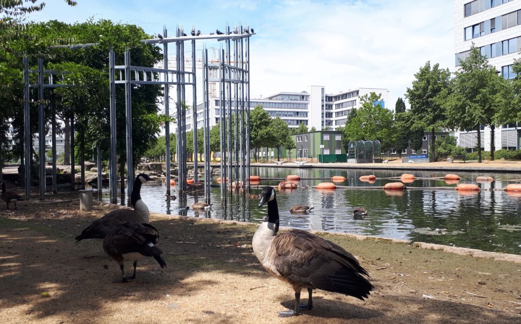 Schoon water voor Duits park